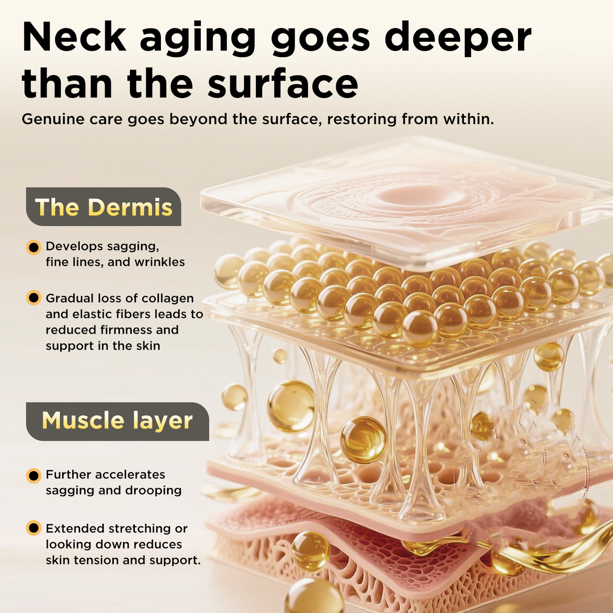 ASAMO Neck & Chest Firming Cream